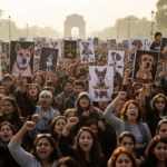 दिल्ली डॉग प्रोटेस्ट: दिल्ली की सड़कों पर क्यों उतरा 'इंसानियत का सैलाब'? कुत्तों के लिए इंसाफ की वो मांग जो देश हिला देगी!