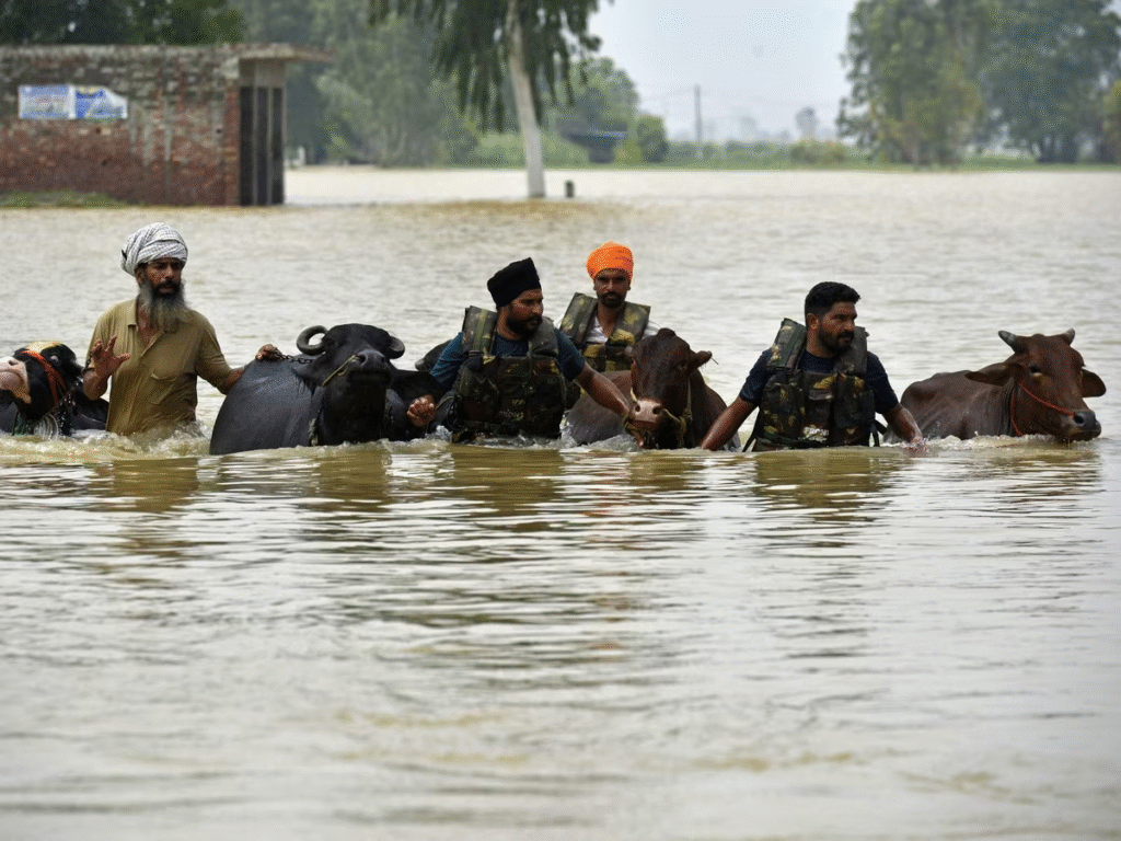 Delhi-Punjab Floods: कारण, प्रभाव और बचाव के उपाय