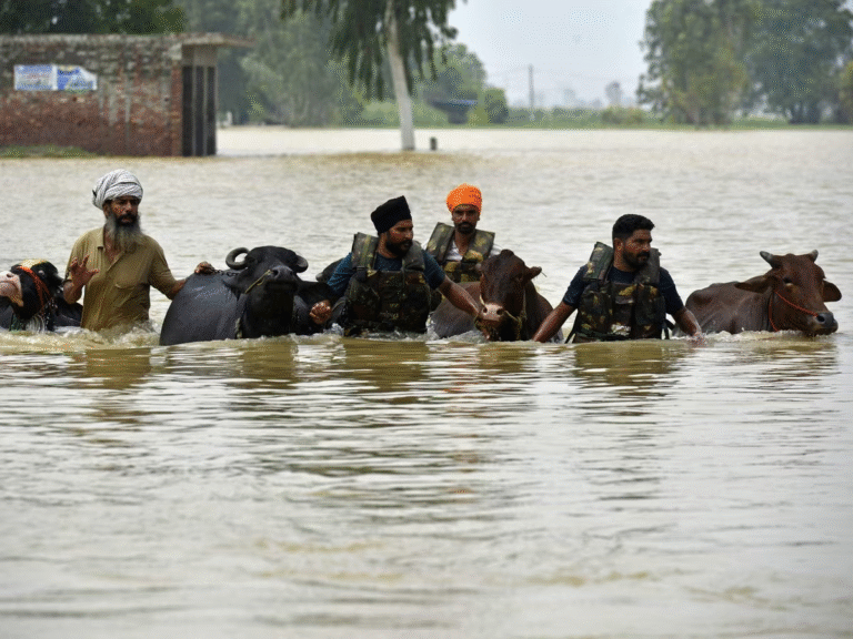 Delhi-Punjab Floods: कारण, प्रभाव और बचाव के उपाय