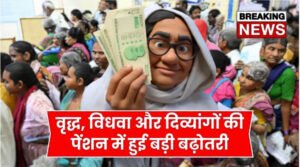 Old Widow Handicap Pension Schem